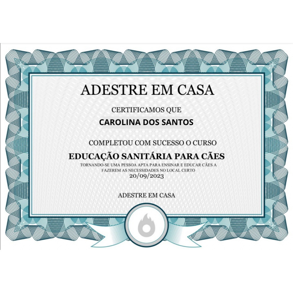 Certificado de conclusão do curso